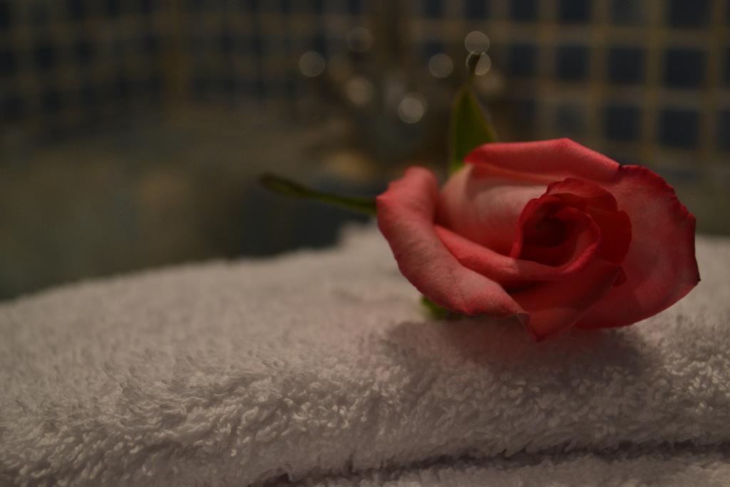 Riad Hotel Belleville Marrakech مراكش المظهر الخارجي الصورة